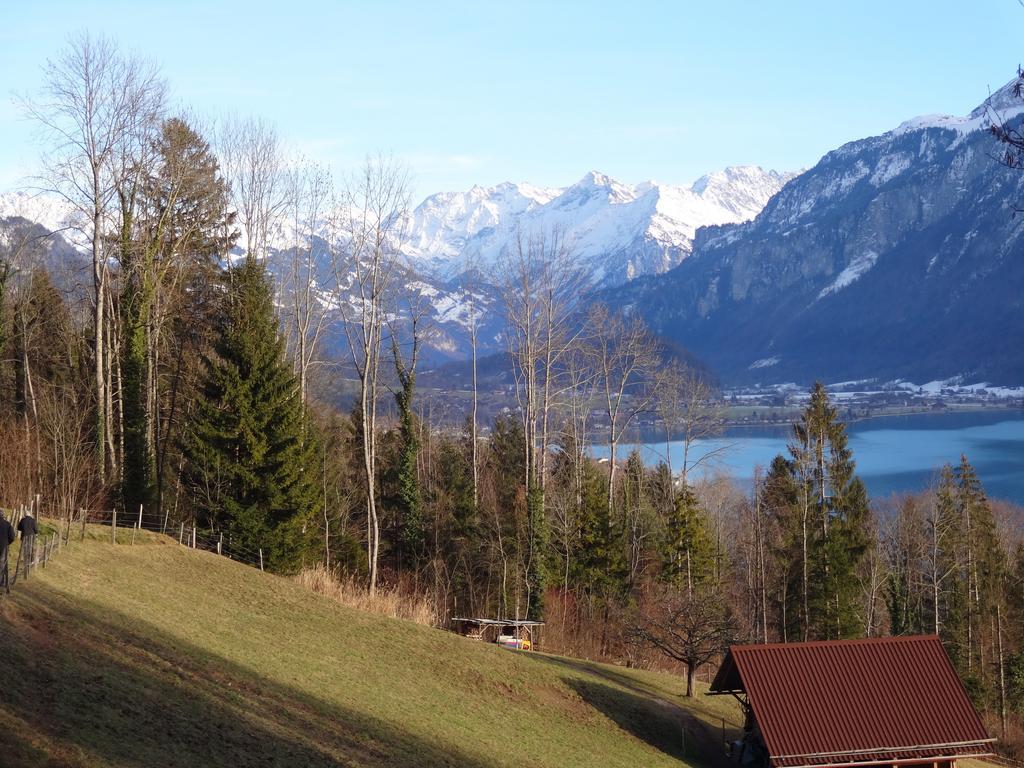 Seeli Hofstetten bei Brienz Phòng bức ảnh