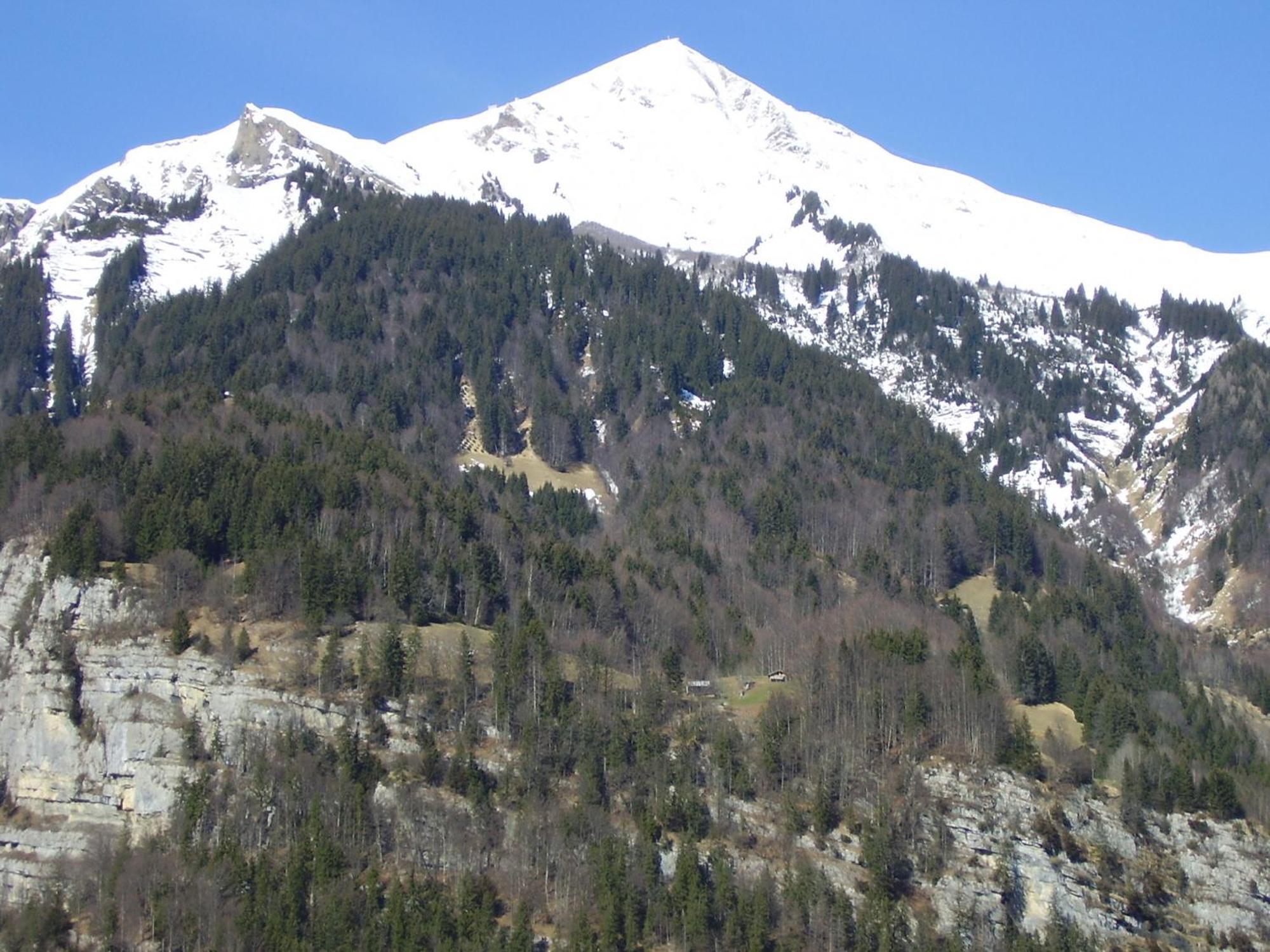 Seeli Hofstetten bei Brienz Ngoại thất bức ảnh