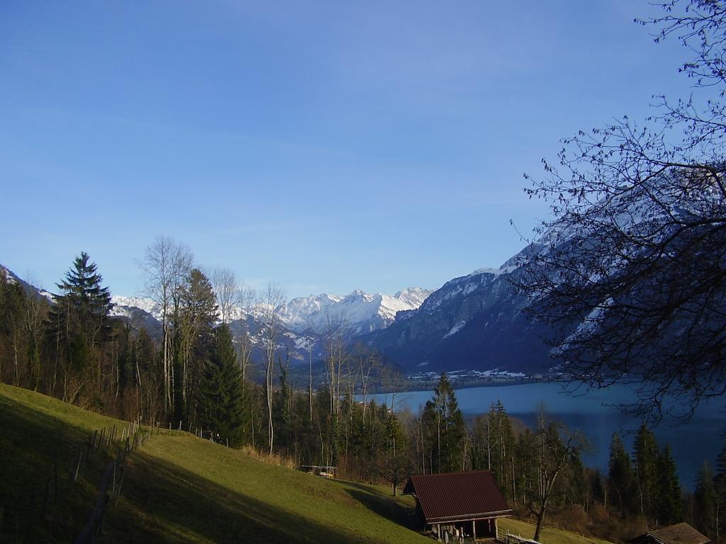 Seeli Hofstetten bei Brienz Phòng bức ảnh