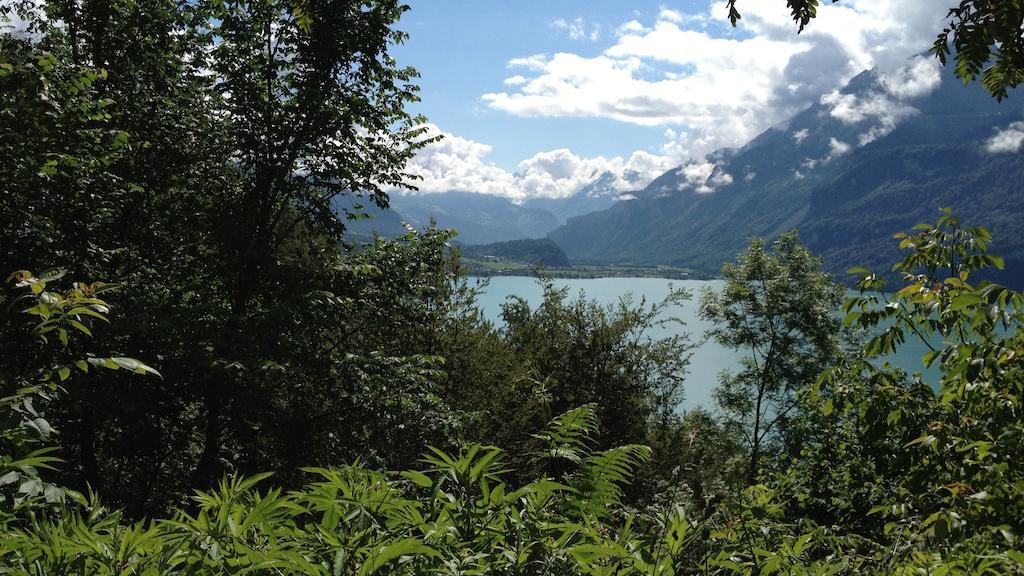 Seeli Hofstetten bei Brienz Phòng bức ảnh